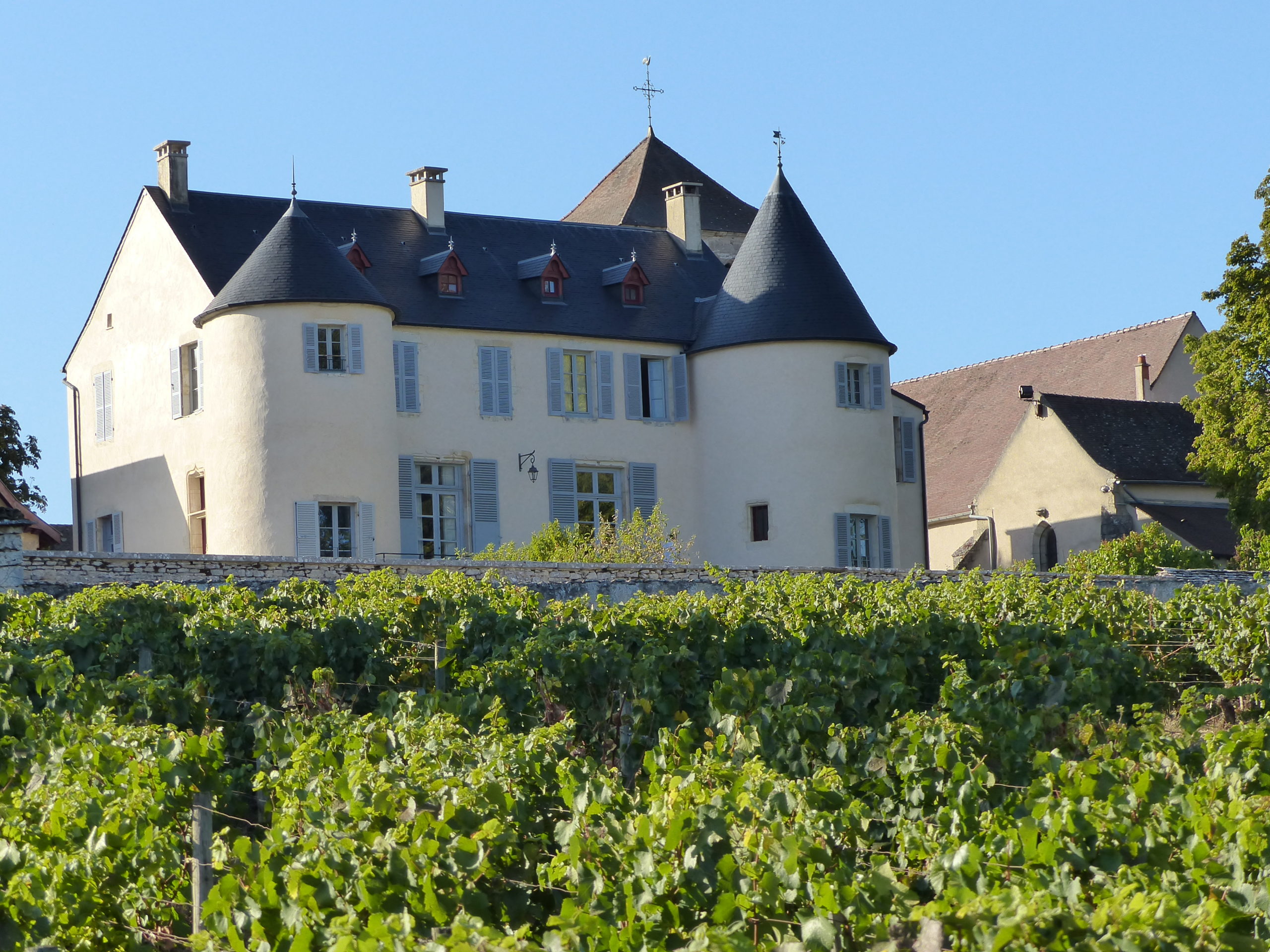 Château de Saint-Romain lieux dit Sous le chateau Vignes 