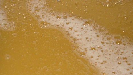 Cuve de blanc en fermentation